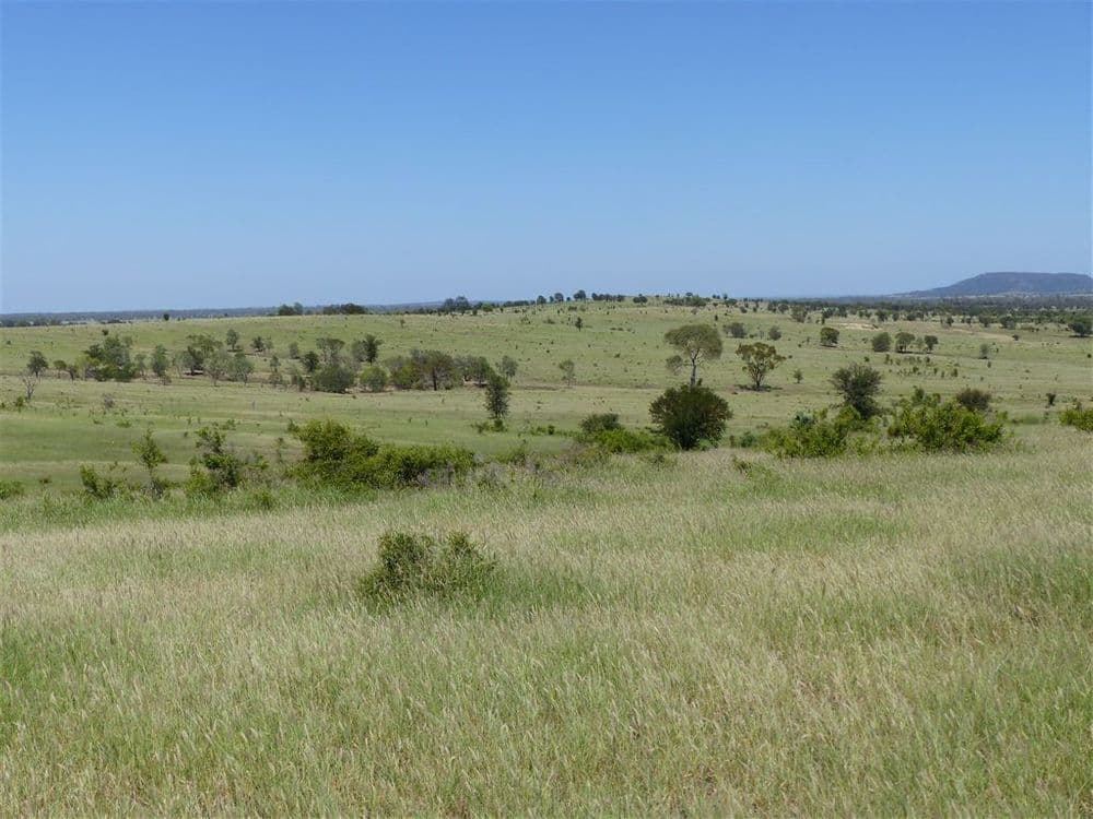 . Two Up, Taroom, QLD 4420, Taroom - Thumbnail 2
