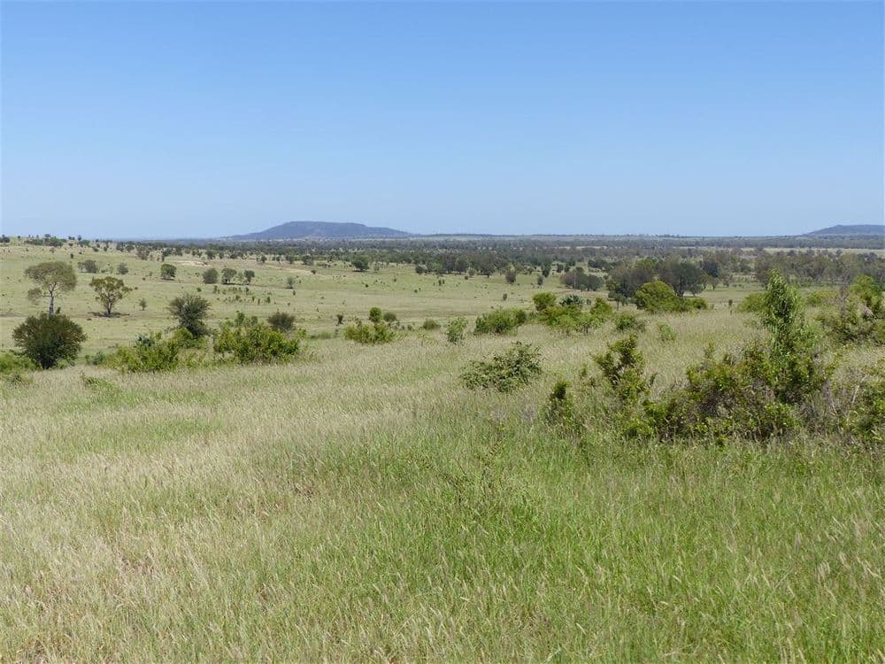 . Two Up, Taroom, QLD 4420, Taroom - Thumbnail 3