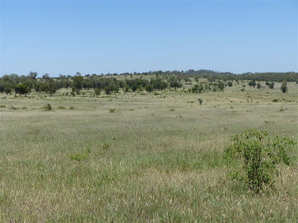 . Two Up, Taroom, QLD 4420, Taroom - Thumbnail 4