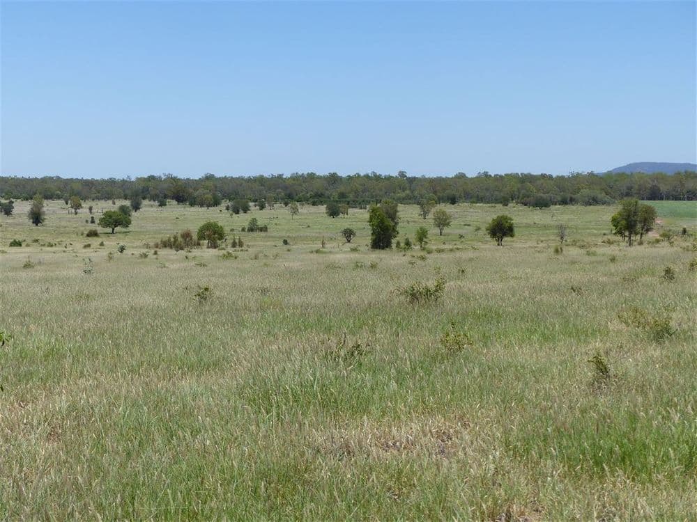 . Two Up, Taroom, QLD 4420, Taroom - Thumbnail 5