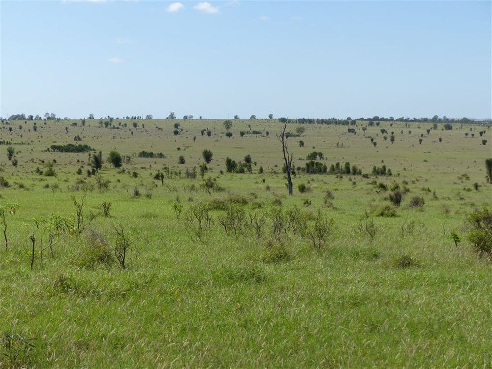 . Two Up, Taroom, QLD 4420, Taroom - Thumbnail 7
