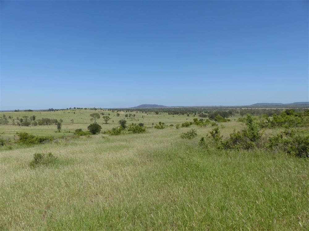 . Two Up, Taroom, QLD 4420, Taroom - Thumbnail 8