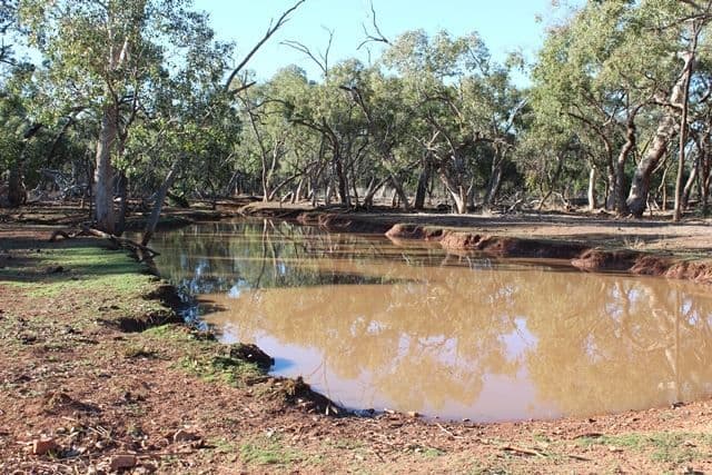 * Karoo, Cobar, NSW 2835, Cobar - Image 1