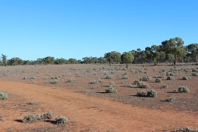 * Karoo, Cobar, NSW 2835, Cobar - Thumbnail 2