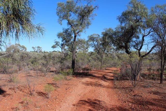 * Karoo, Cobar, NSW 2835, Cobar - Thumbnail 5