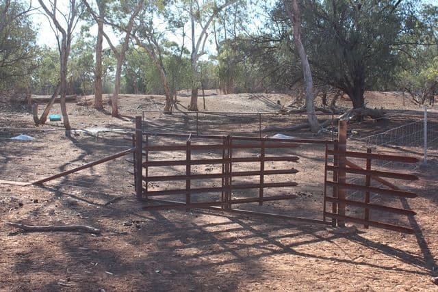 * Karoo, Cobar, NSW 2835, Cobar - Thumbnail 6