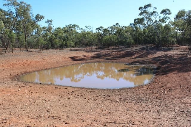* Karoo, Cobar, NSW 2835, Cobar - Thumbnail 7