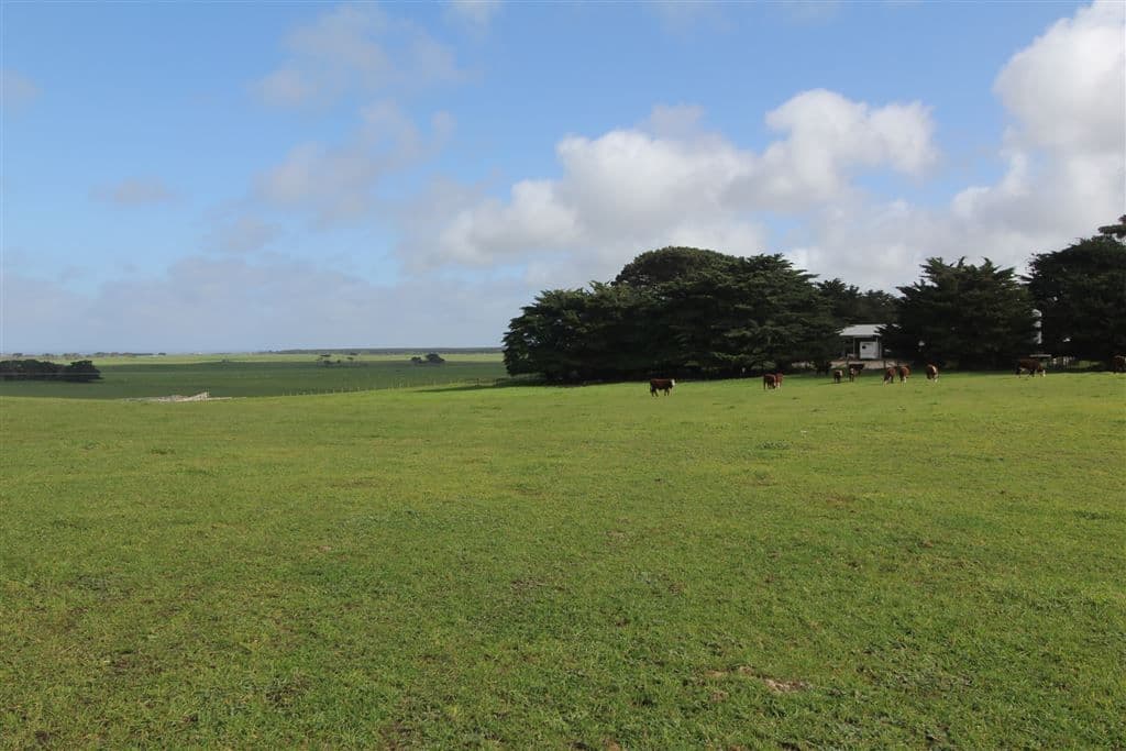 170 Schinkels Road, Kongorong, SA 5291, Kongorong - Image 1