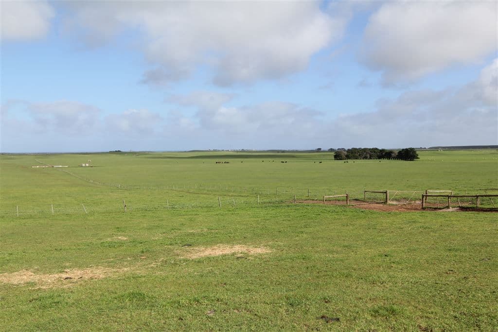 170 Schinkels Road, Kongorong, SA 5291, Kongorong - Thumbnail 3