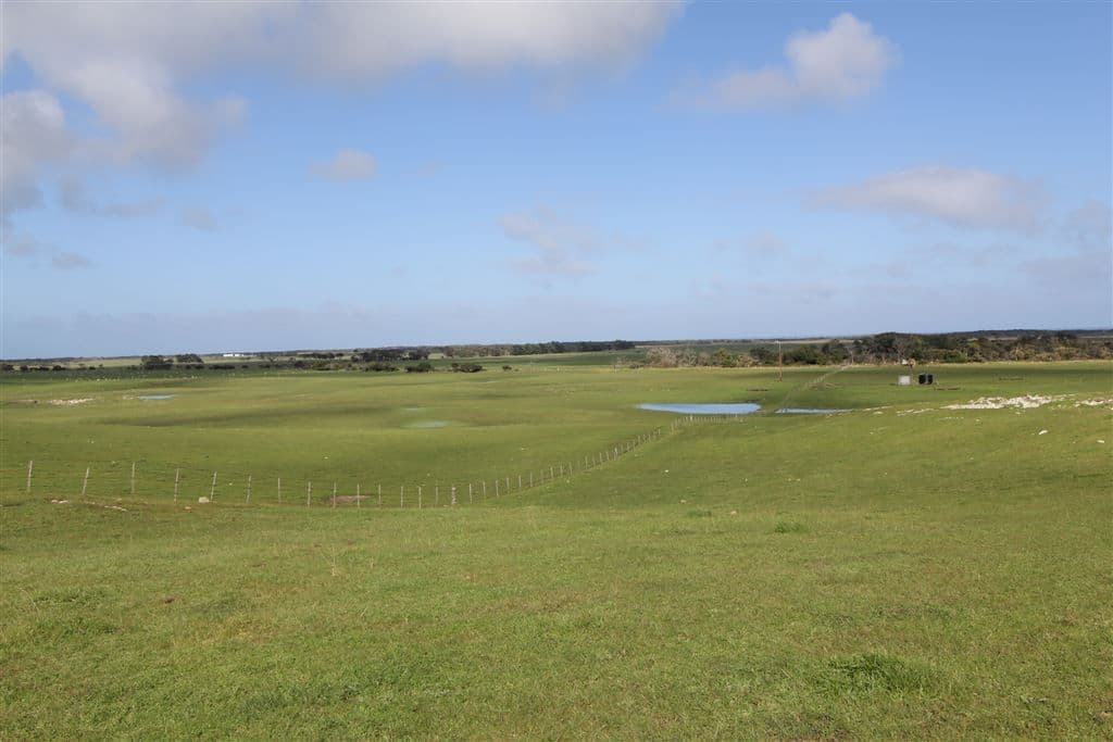 170 Schinkels Road, Kongorong, SA 5291, Kongorong - Thumbnail 5