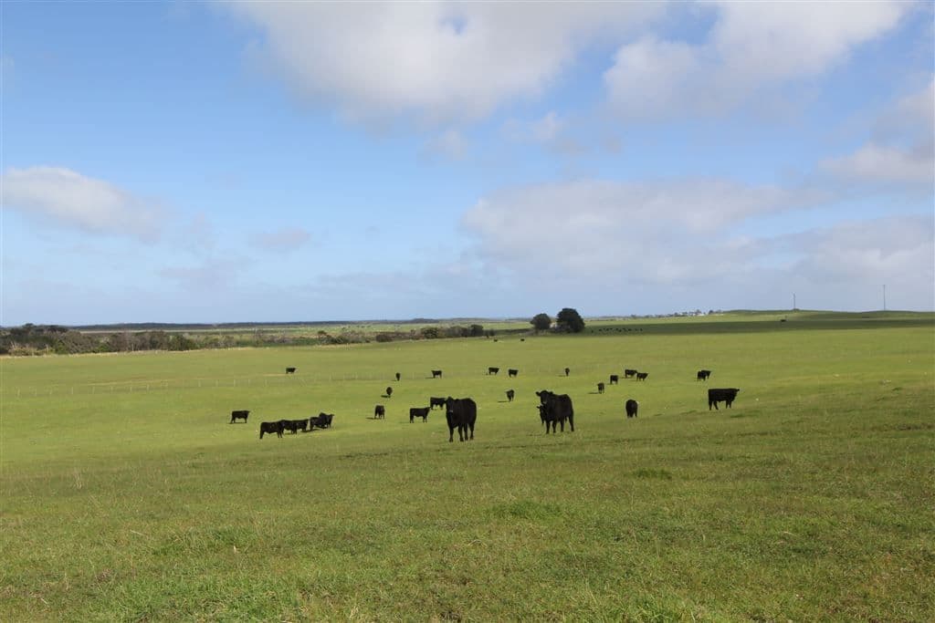 170 Schinkels Road, Kongorong, SA 5291, Kongorong - Thumbnail 6