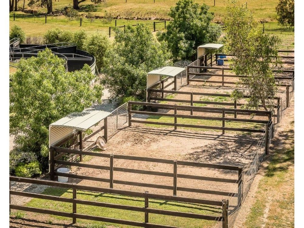 206 Jefferies Road, Locksley, VIC, 3665, Locksley - Thumbnail 5