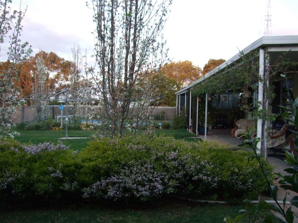 3979 Emu Flat Road, Keith, SA 5267, Keith - Thumbnail 5