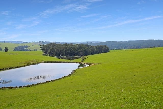 17 Macnees Road, Carrajung, VIC 3844, Carrajung - Thumbnail 5