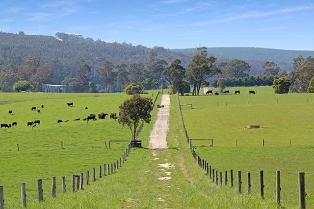 17 Macnees Road, Carrajung, VIC 3844, Carrajung - Thumbnail 8