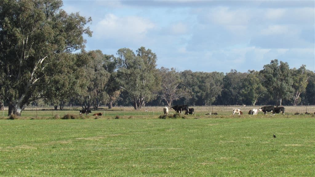 Forbes NSW, Forbes - Thumbnail 8