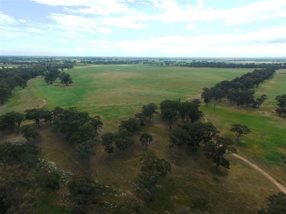 413 BROWNES LANE, Axedale, VIC 3551, Axedale - Thumbnail 6