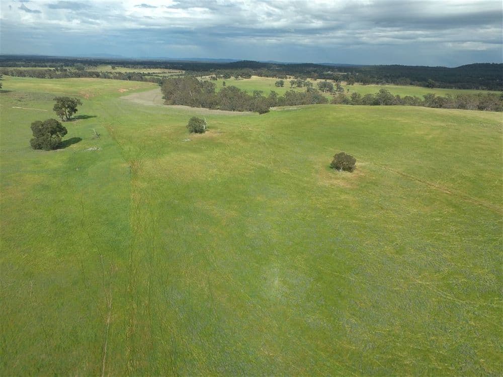 413 BROWNES LANE, Axedale, VIC 3551, Axedale - Thumbnail 7