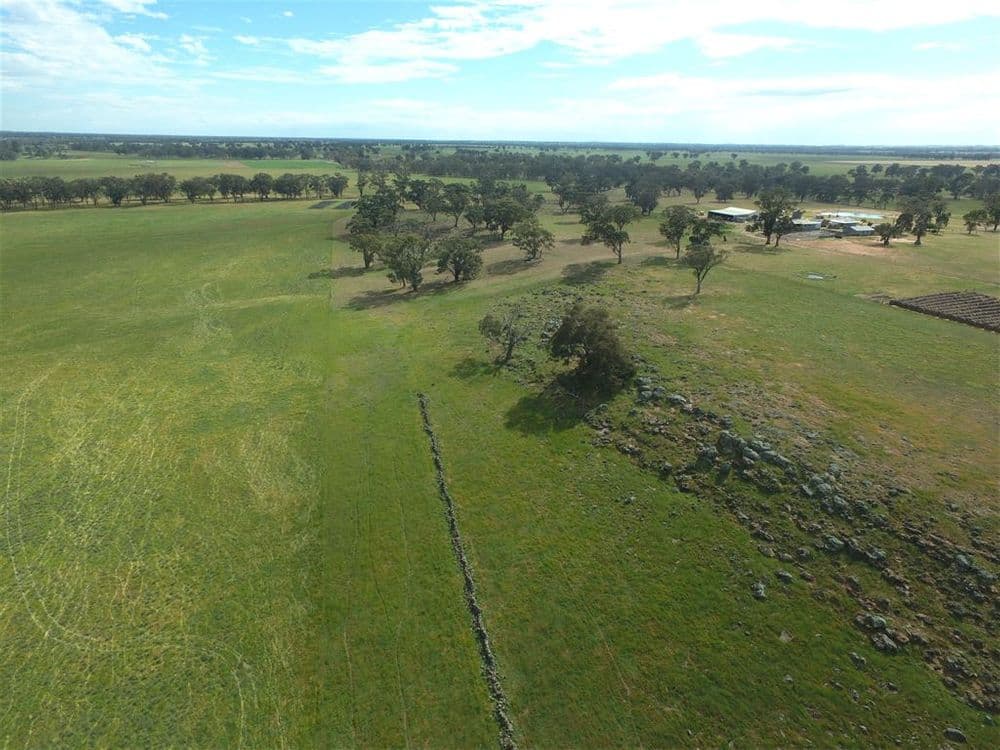 413 BROWNES LANE, Axedale, VIC 3551, Axedale - Thumbnail 8