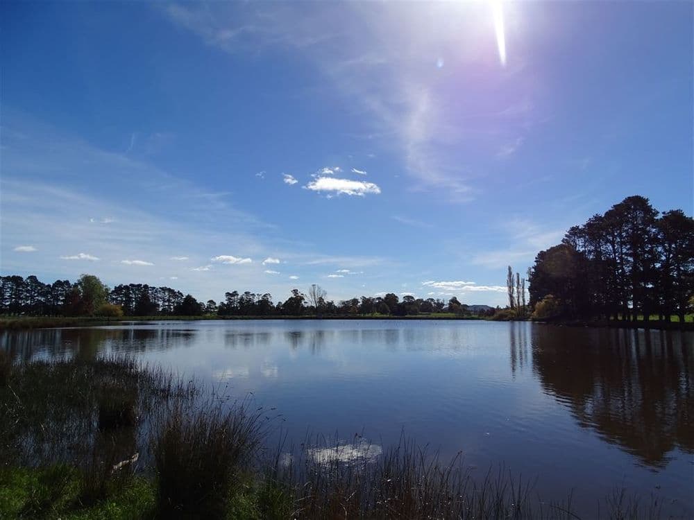26 Werai Road, Werai, NSW 2577, Werai - Thumbnail 2