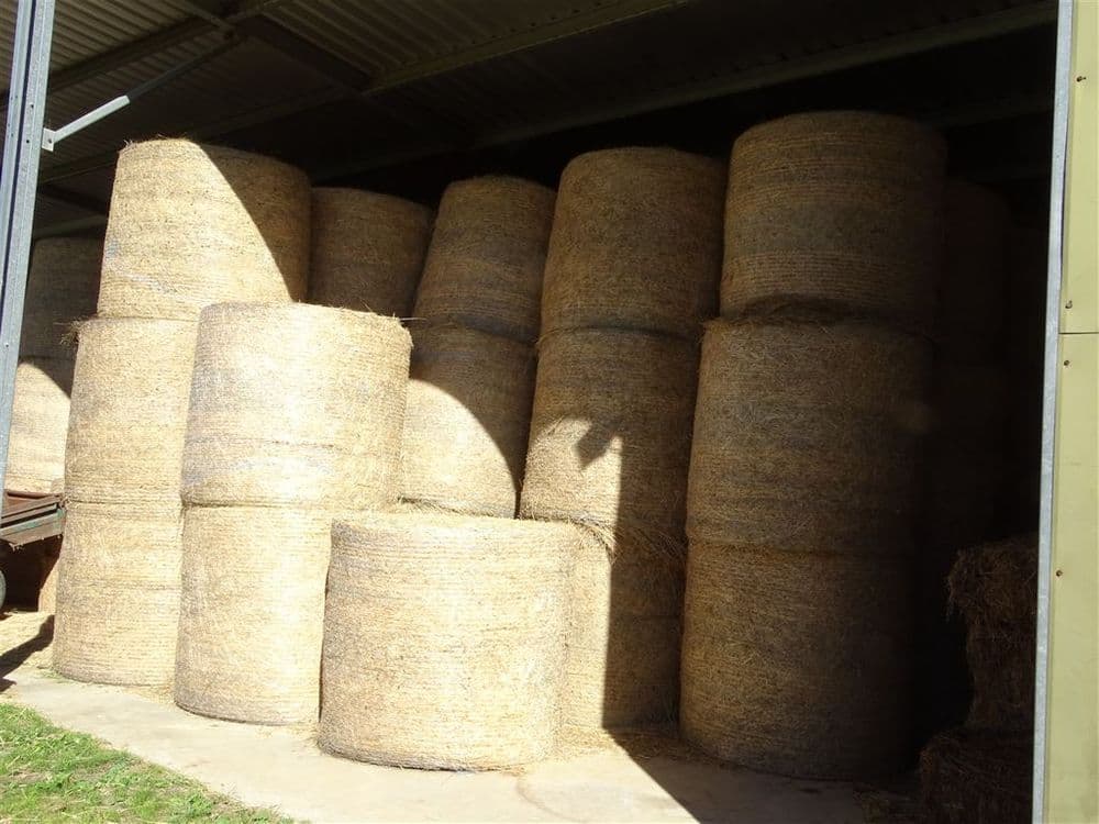 26 Werai Road, Werai, NSW 2577, Werai - Thumbnail 8
