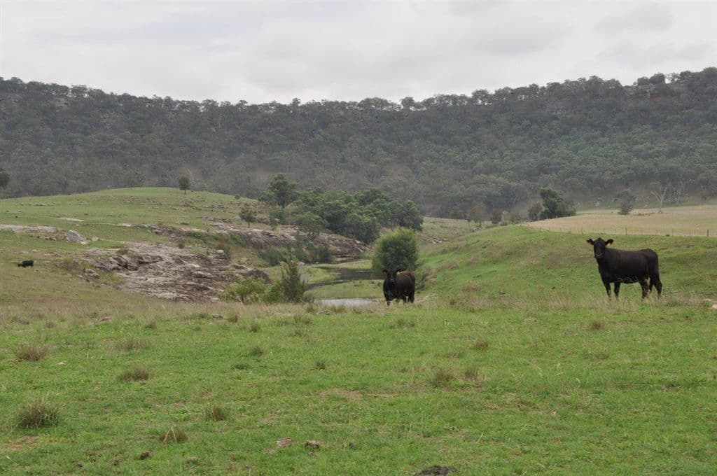 497 Hulks Rd, "Coomealla", Merriwa, NSW 2329, Merriwa - Thumbnail 2