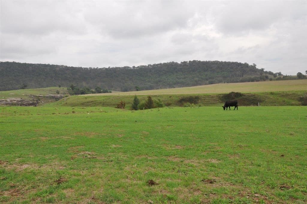 497 Hulks Rd, "Coomealla", Merriwa, NSW 2329, Merriwa - Thumbnail 6