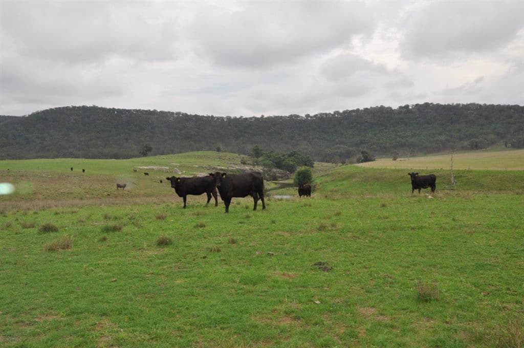 497 Hulks Rd, "Coomealla", Merriwa, NSW 2329, Merriwa - Thumbnail 8