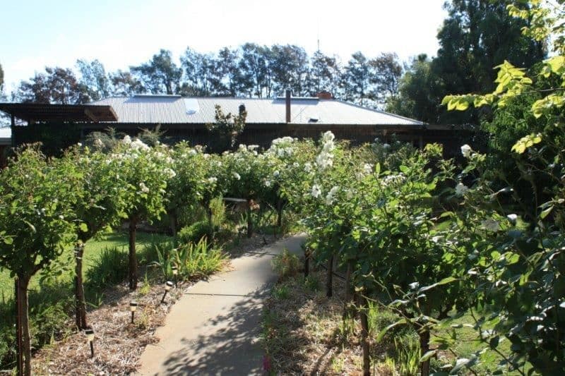 1072 Old Boort Road, Bears Lagoon, VIC 3517, Bears Lagoon - Thumbnail 5