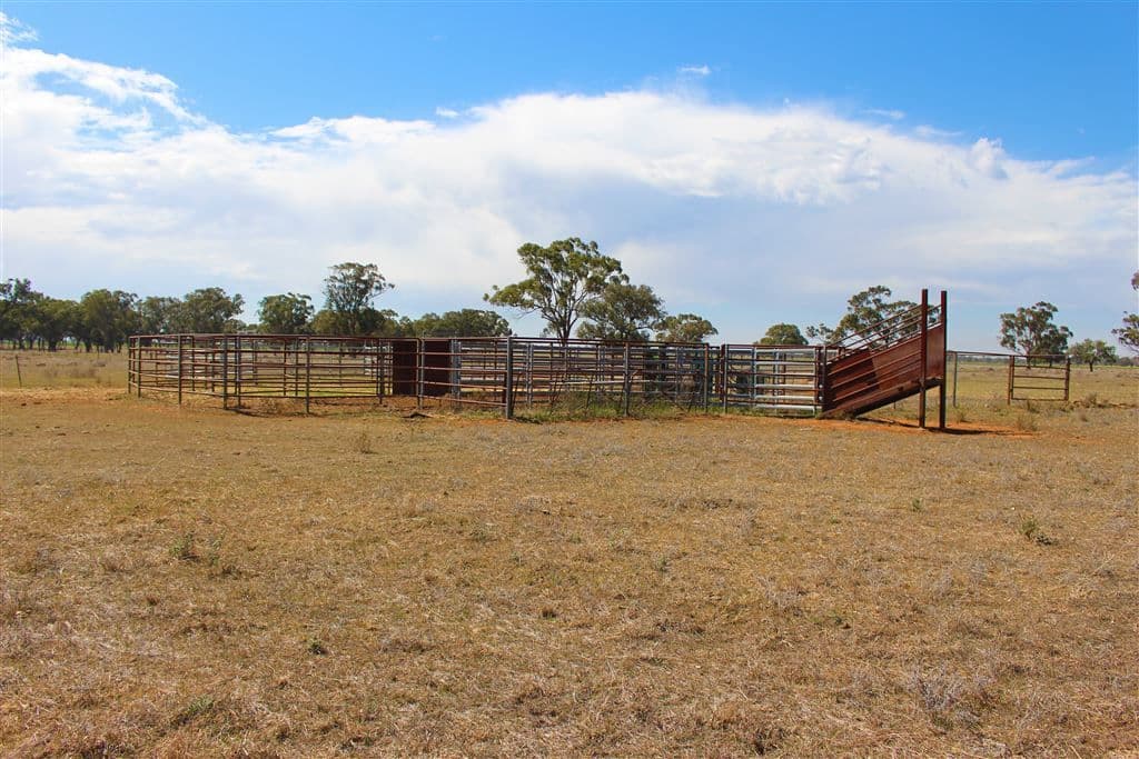 Narromine NSW, Narromine - Image 1