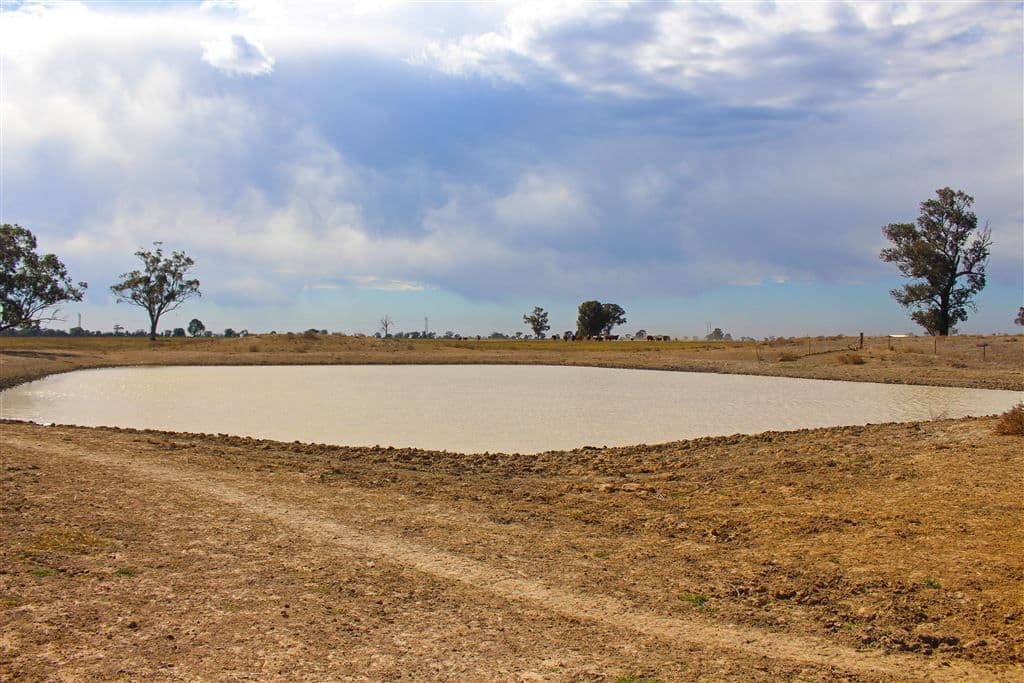 Narromine NSW, Narromine - Thumbnail 2