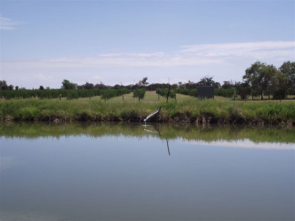 . "Happy Home" - 505 acres, Taroom, QLD 4420, Taroom - Thumbnail 2