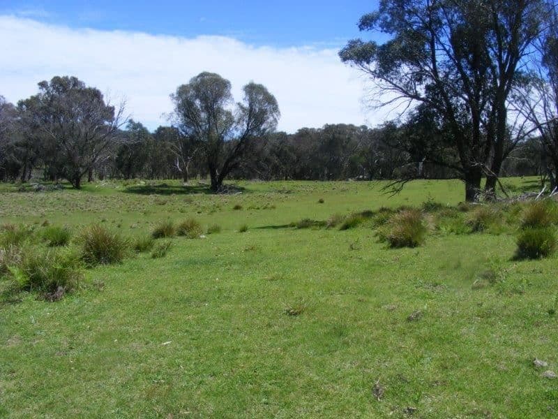 Woodburn/749 Costellos Road,, Glen Innes, NSW 2370, Glen Innes - Thumbnail 8