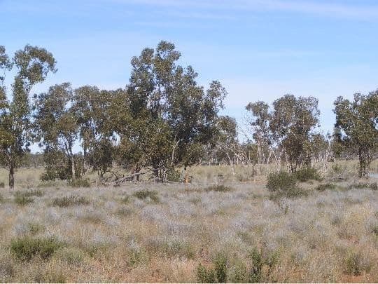 . "Linden" & "Charlotte Vale", Cunnamulla, QLD 4490, Cunnamulla - Thumbnail 5