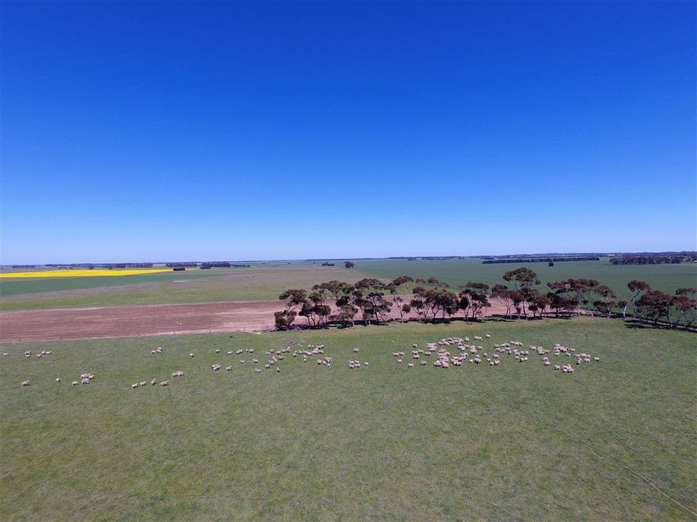 2 Lots Urches Road & Lismore-Pitfield Road, Wallinduc, VIC 3351, Wallinduc - Thumbnail 2