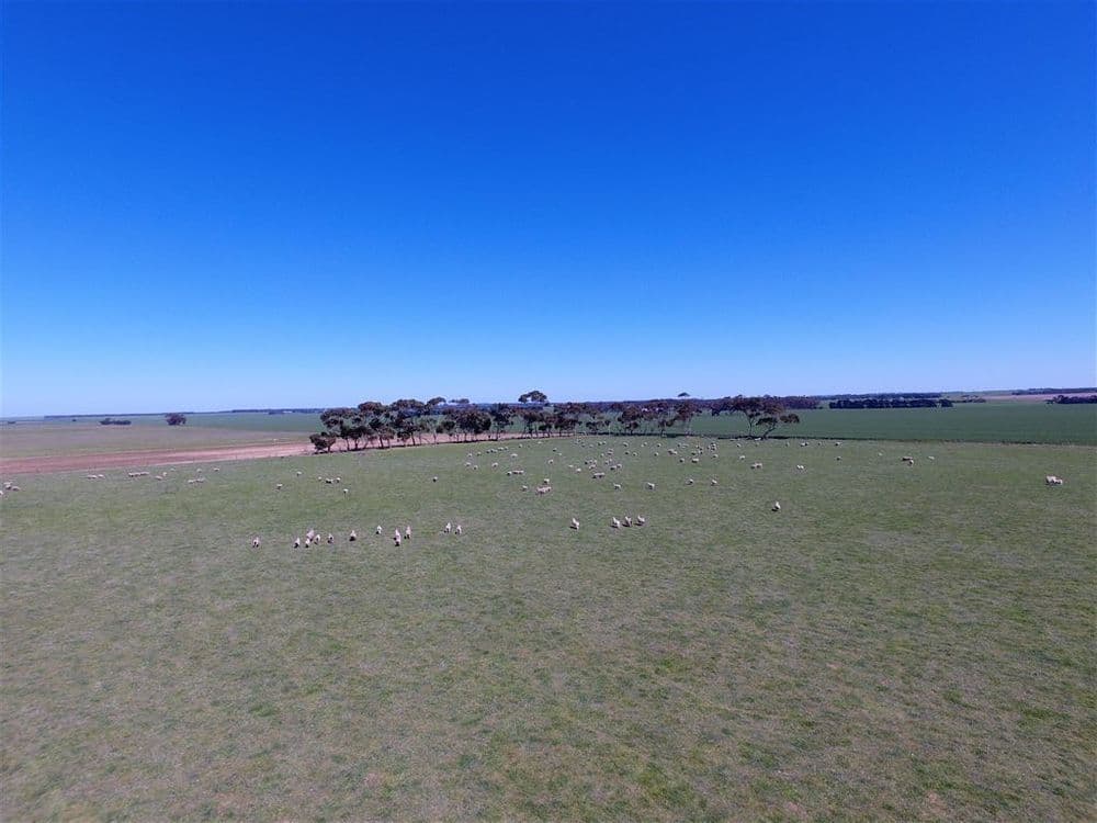 2 Lots Urches Road & Lismore-Pitfield Road, Wallinduc, VIC 3351, Wallinduc - Thumbnail 6