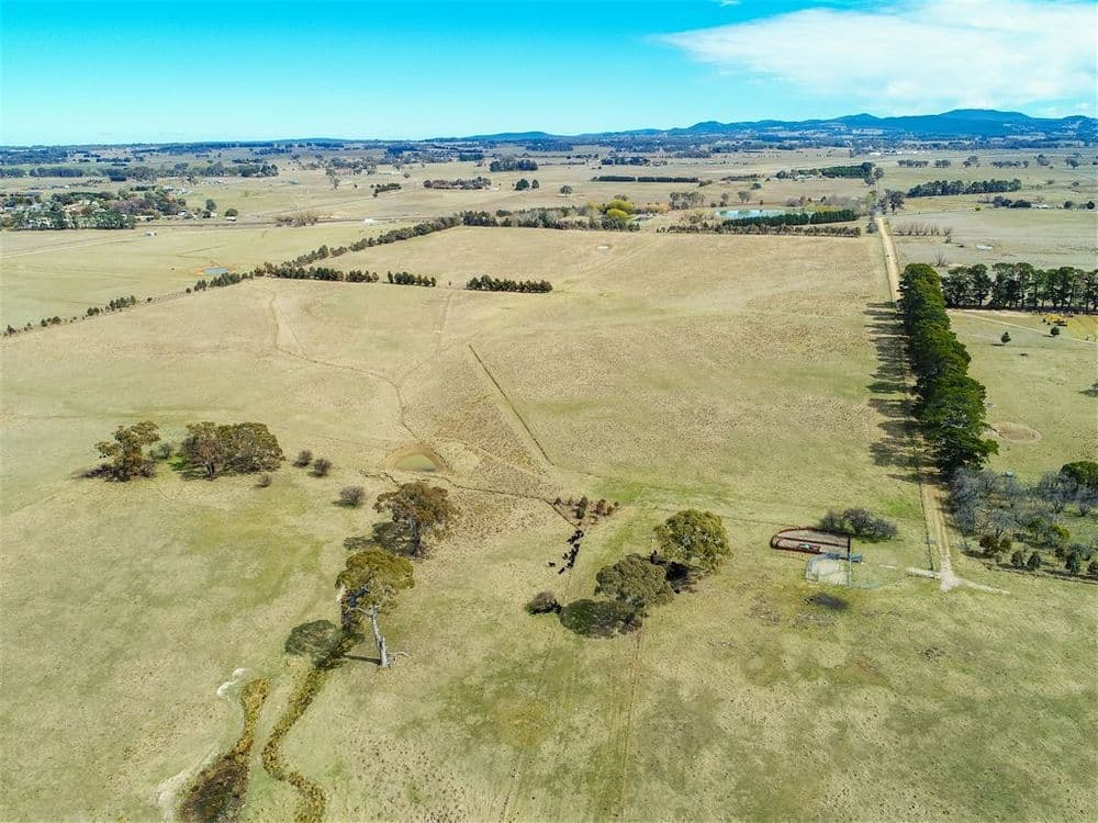 92 Anderson Road, Spring Hill, NSW 2800, Spring Hill - Thumbnail 2