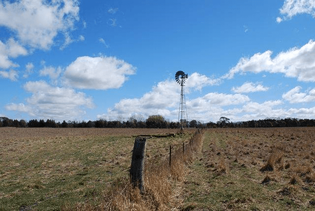 92 Anderson Road, Spring Hill, NSW 2800, Spring Hill - Thumbnail 6