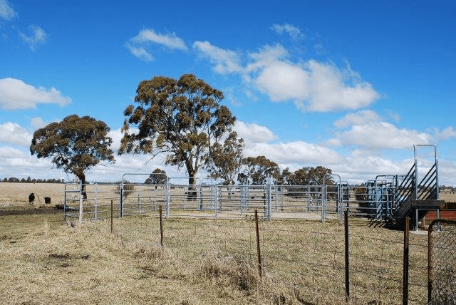 92 Anderson Road, Spring Hill, NSW 2800, Spring Hill - Thumbnail 8