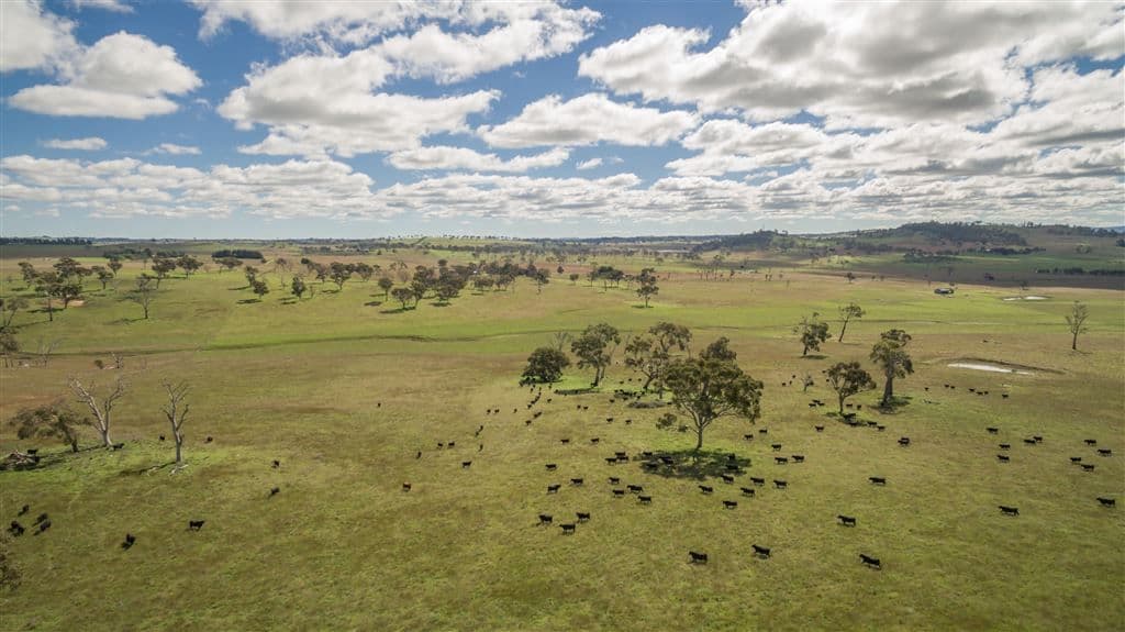 Armidale NSW, Armidale - Thumbnail 3