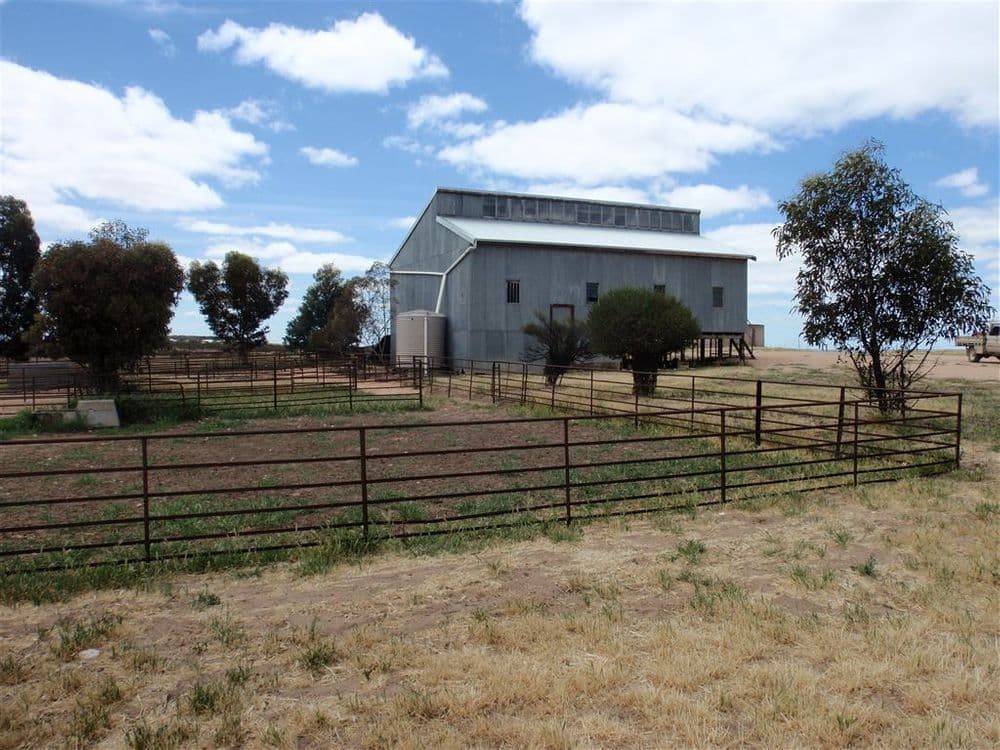550 Nantuma Road, Warramboo, SA 5650, Warramboo - Thumbnail 6