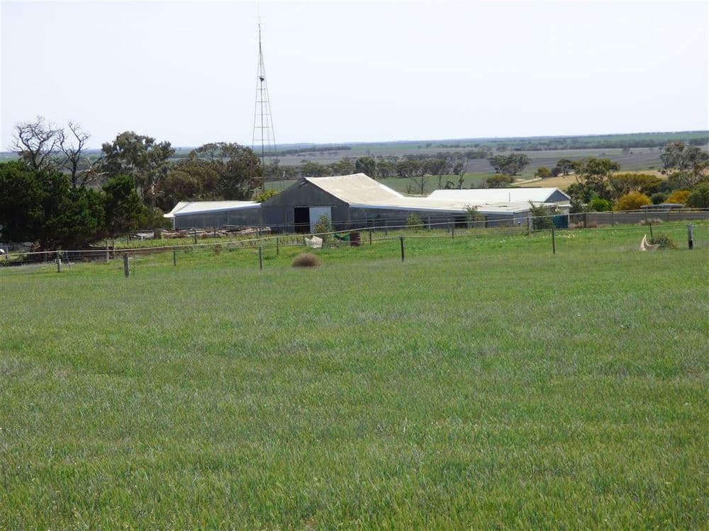 860 Gerscwhitz Road, Cungena, SA 5660, Cungena - Image 1
