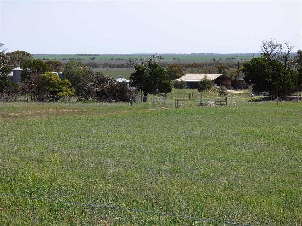 860 Gerscwhitz Road, Cungena, SA 5660, Cungena - Thumbnail 2