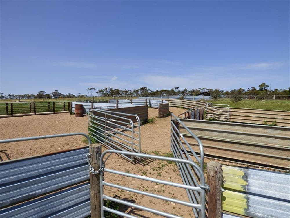 860 Gerscwhitz Road, Cungena, SA 5660, Cungena - Thumbnail 4
