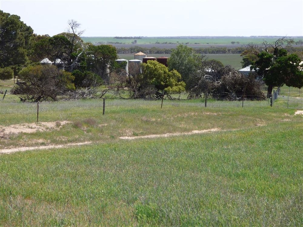 860 Gerscwhitz Road, Cungena, SA 5660, Cungena - Thumbnail 5