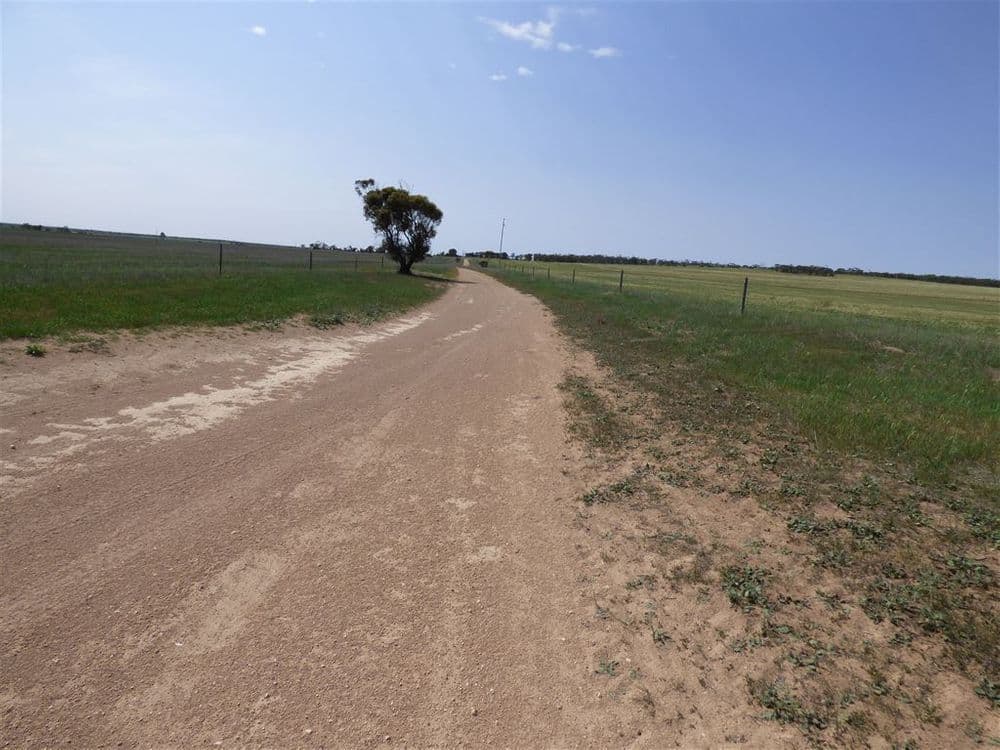 860 Gerscwhitz Road, Cungena, SA 5660, Cungena - Thumbnail 7
