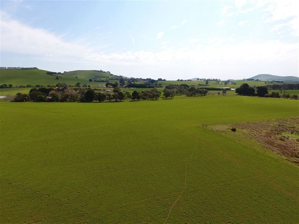 65 Kangaroo Hills Road, Blampied, VIC 3364, Blampied - Thumbnail 4