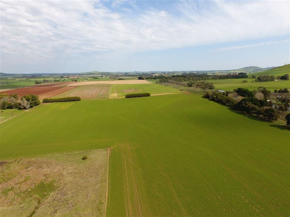 65 Kangaroo Hills Road, Blampied, VIC 3364, Blampied - Thumbnail 5