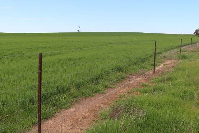 714 Dattuck Road, Hopetoun, VIC 3396, Hopetoun - Thumbnail 6