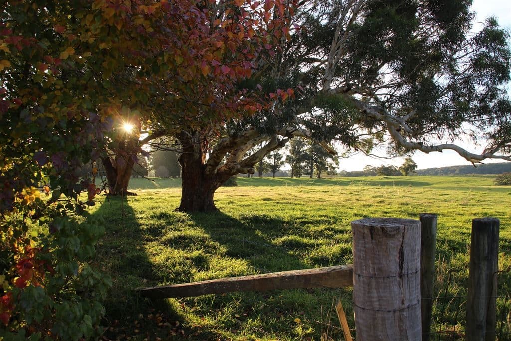 1186 Charleys Forest Road, Braidwood, NSW 2622, Braidwood - Image 1